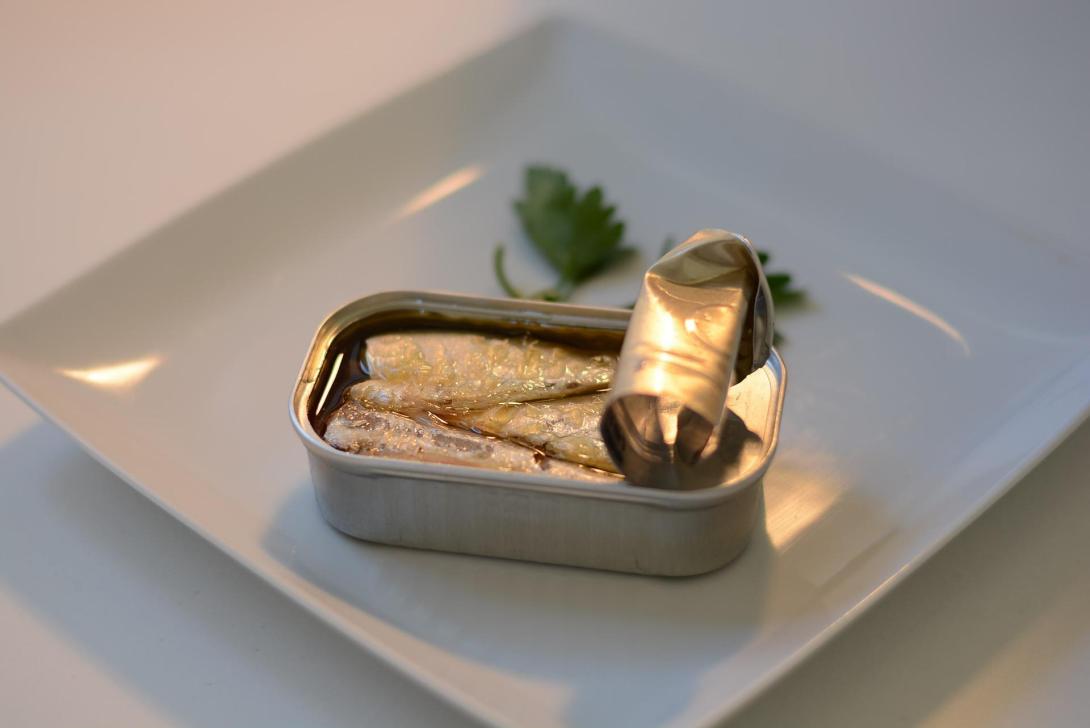 sardines-gf25414934_1920.jpg