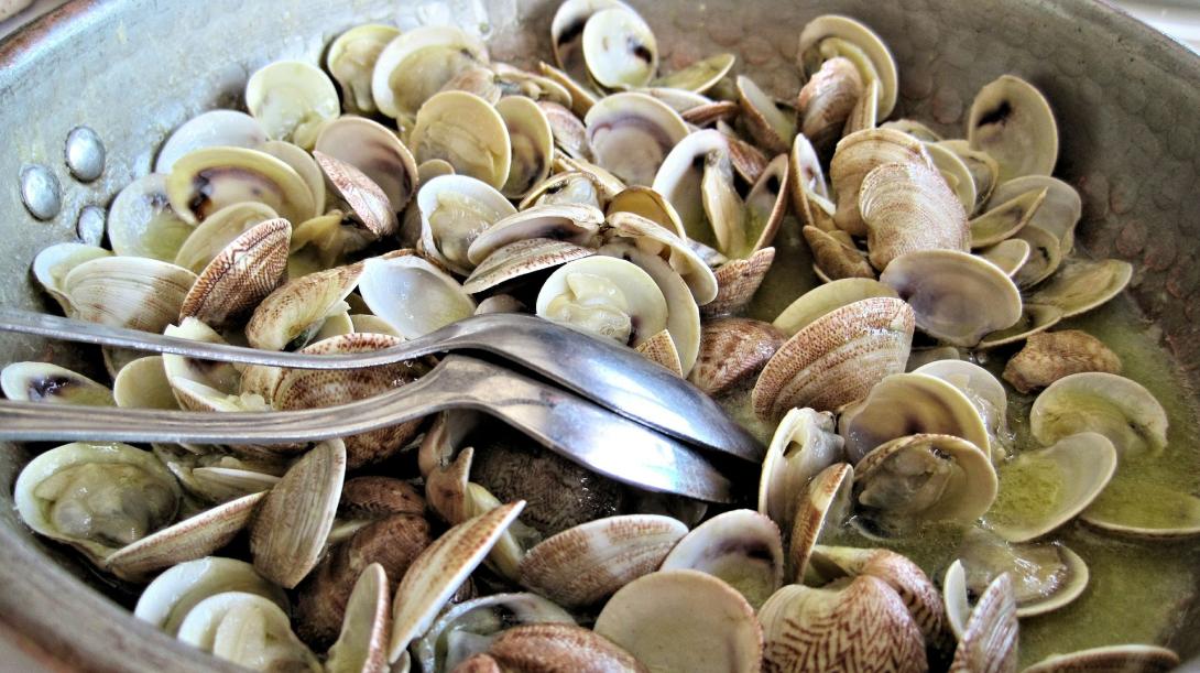 steamed-clams-g235dc934a_1920.jpg