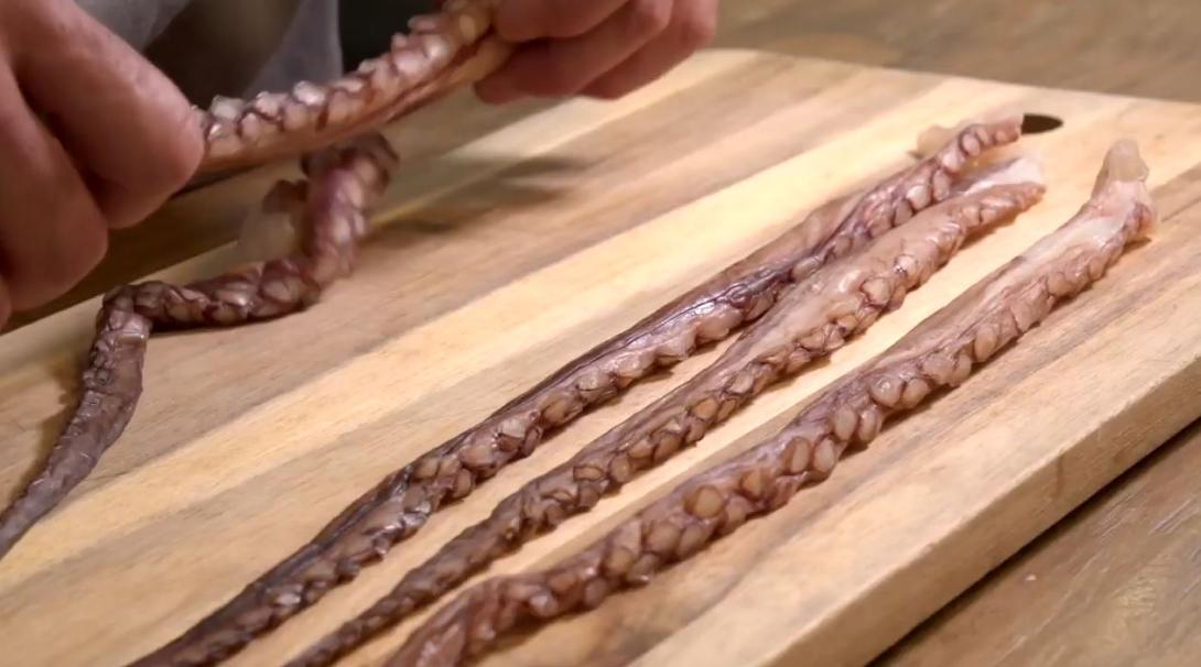 pulpo 3.JPG