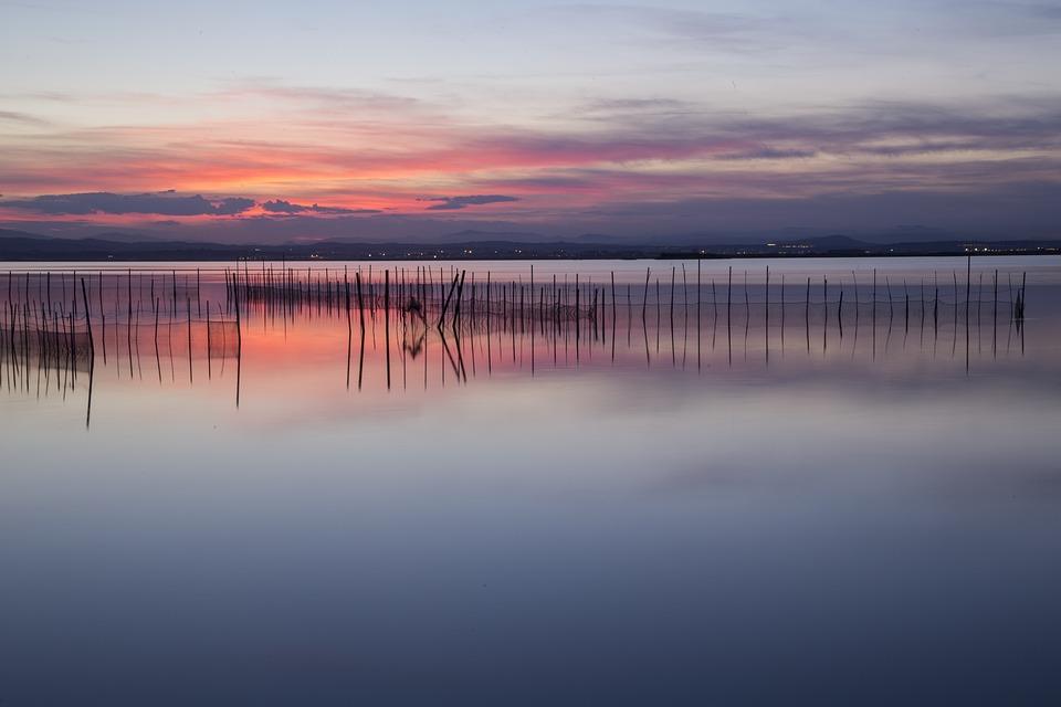 Albufera de valencia pixabay